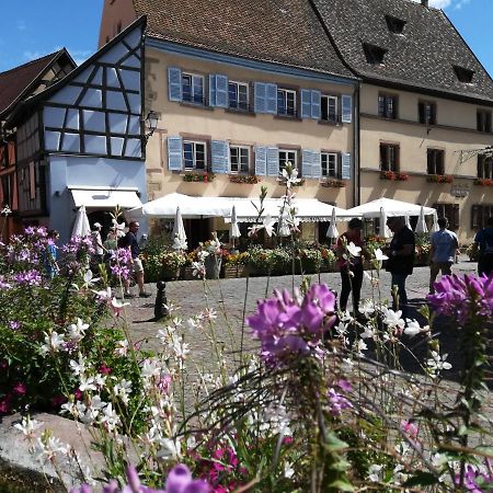 Gites Au Chateau Fleuri エーグイスハイム エクステリア 写真