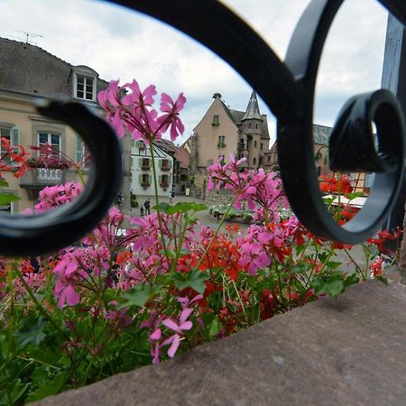 Gites Au Chateau Fleuri エーグイスハイム 部屋 写真