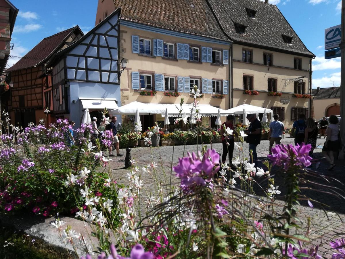 Gites Au Chateau Fleuri エーグイスハイム エクステリア 写真