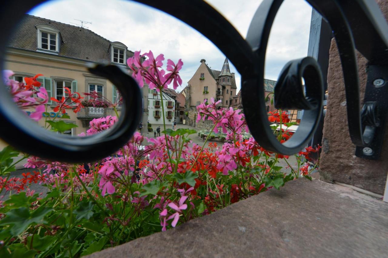 Gites Au Chateau Fleuri エーグイスハイム 部屋 写真